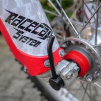 Racecap Radlager Schutz System Fullkit passend für Beta rot
